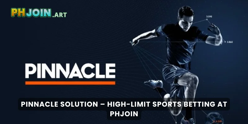 Pinnacle Solution